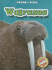 Walruses