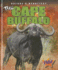 The Cape Buffalo (Pilot Books: Nature's Deadliest)