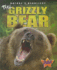 The Grizzly Bear (Nature's Deadliest)