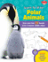 Learn to Draw Polar Animals: Draw More Than 25 Favorite Arctic and Antarctic Wildlife Critters