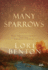 Many Sparrows: a Novel