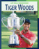 Tiger Woods (Trailblazers of the Modern World)