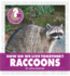 How Do We Live Together? Raccoons