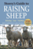 Storey's Guide to Raising Sheep (Storeys Guide to Raising)