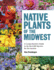 Native Plants of the Midwest-Hc Format: Hardcover