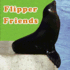 Flipper Friends (Rourke Board Books)