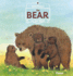 The Bear (Animals in the Wild)