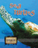 Sea Turtles (Eye to Eye With Endangered Species)