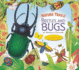 Nature Trails: Beetles and Bugs (Maurice Pledger Nature Trails)