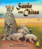 Sueo Con Chitas (Cheetah Dreams) (Spanish Edition)