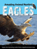 Eagles (Qeb Animal Lives)