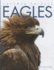 Eagles