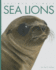Amazing Animals-Classic Edition: Sea Lions Hardcover