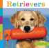 Retrievers (Seedlings)