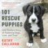 101 Rescue Puppies One Family's Story of Fostering Dogs, Love, and Trust