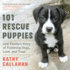 101 Rescue Puppies: One Familys Story of Fostering Dogs, Love, and Trust