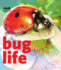 Bug Life (Small World)