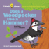 Does a Woodpecker Use a Hammer? (Think About...)
