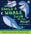 Could a Whale Swim to the Moon? : Hilarious Scenes Bring Whale Facts to Life!