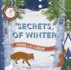 Secrets of Winter Secrets (a Shine-a-Light Book )