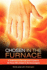 Chosen in the Furnace: a Testimony of Survival and a Guide to All Those Who Desire to Be Encouragers