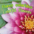 Flores Coloridas / Colorful Flowers (Spanish and English Edition)