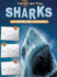 Sharks: Drawing and Reading (Explore and Draw)