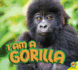 I Am a Gorilla