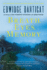 Breath, Eyes, Memory-a Novel