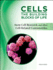 Stem Cell Research and Other Cell-Related Controversies (Cells: the Building Blocks of Life)
