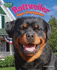 Rottweiler: Super Courageous (Big Dogs Rule)