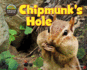 Chipmunk's Hole