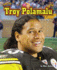 Troy Polamalu (Football Stars Up Close)