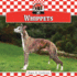 Whippets (Dogs Set 10)