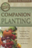 The Complete Guide to Companion Planting: Everything You Need to Know to Make Your Garden and Ornamental Plants Thrive