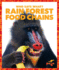 Rain Forest Food Chains (Pogo Stem: Who Eats What? )