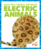 Electric Animals