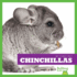 Chinchillas (Bullfrog Books: My First Pet)