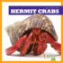 Hermit Crabs (Bullfrog Books: My First Pet)