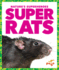 Super Rats (Pogo: Nature's Superheroes)