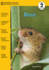 Mouse (Riverstream Readers, Level 2)