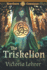 The Triskelion: a Post-Apocalyptic Adventure (New Earth Chronicles)