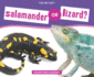 Salamander Or Lizard? (This Or That? )