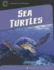 Sea Turtles (21st Century Skills Library: Exploring Our Oceans)