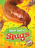 Slugs