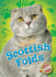 Scottish Folds (Cool Cats)