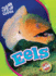 Eels