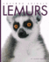 Lemurs (Amazing Animals)
