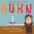 Burn: Michael Faraday's Candle (Moments in Science)