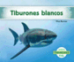 Tiburones Blancos (Great White Sharks) (Spanish Version)